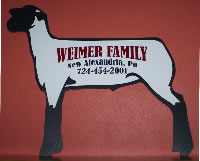 Weimer Family Lambs